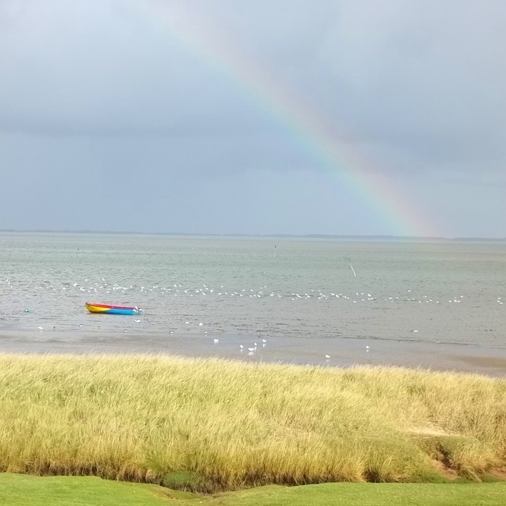 Meditation und Achtsamkeit - Ramona Kupfer